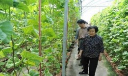 网红吃瓜群贴吧是真的吗,真相与谣言并存